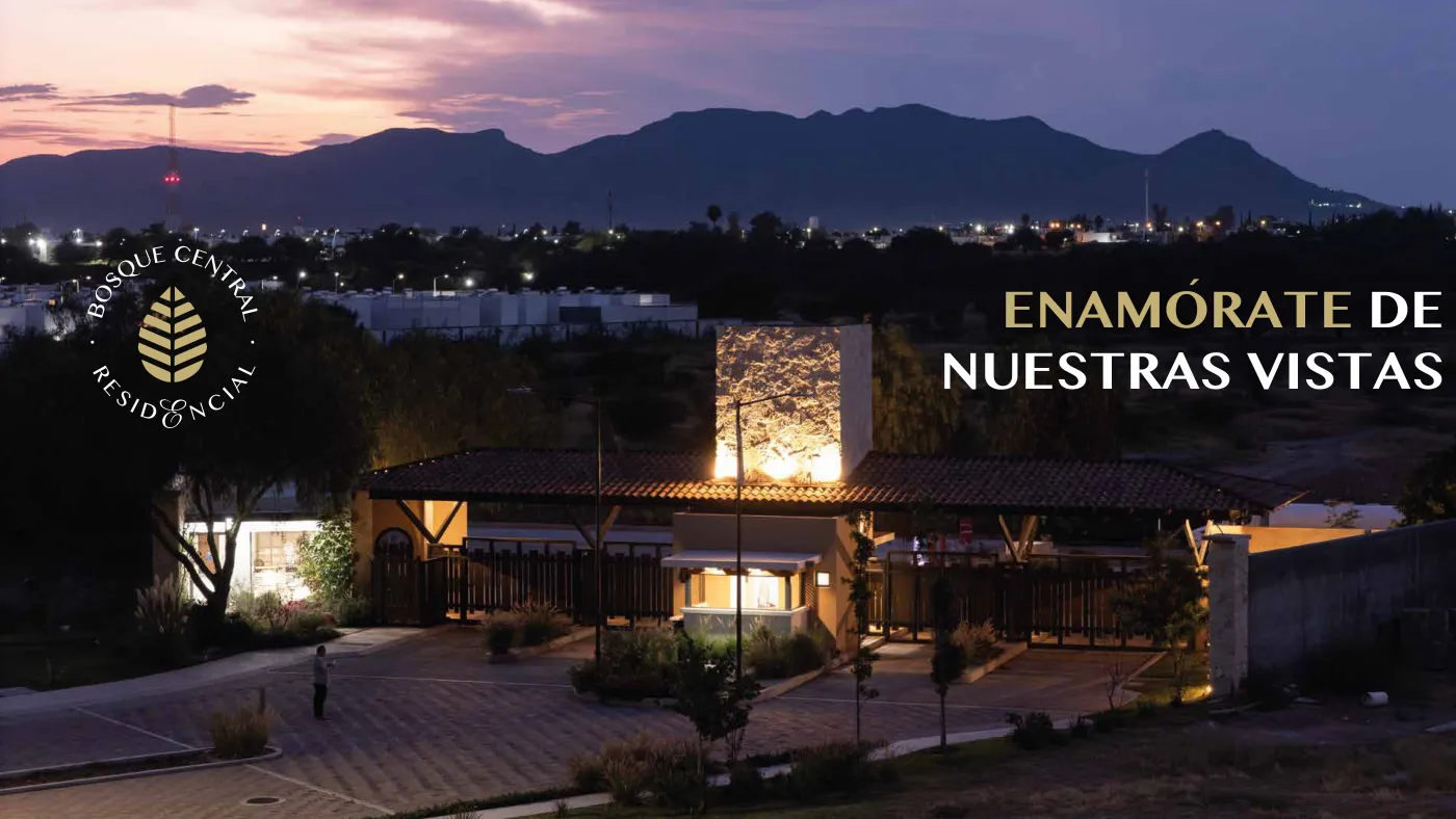 Bosque Central — imagen 3