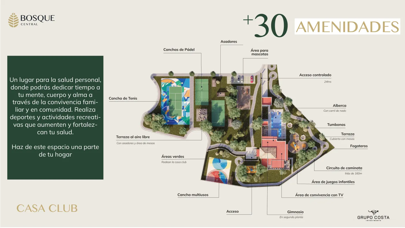 Bosque Central — imagen 4