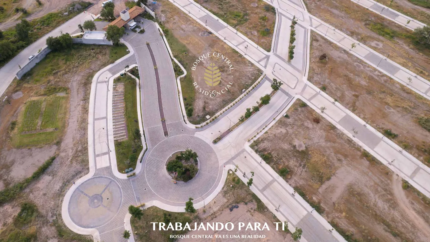 Bosque Central — imagen 6
