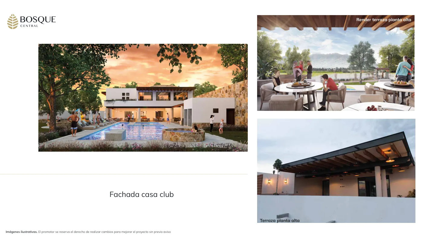 Bosque Central — imagen 7