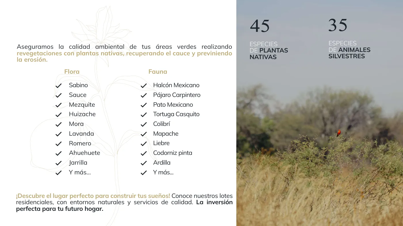 Bosque Central — imagen 9