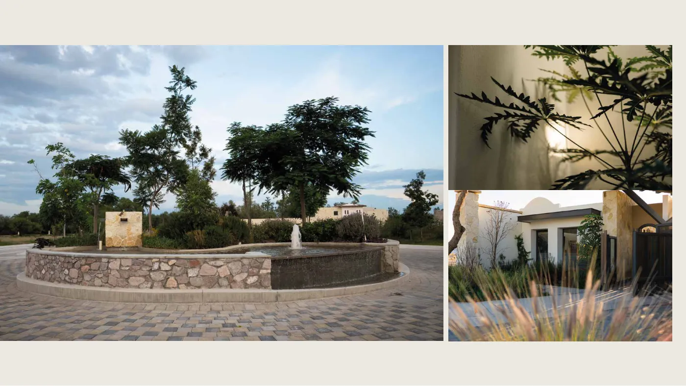 Bosque Central — imagen 10