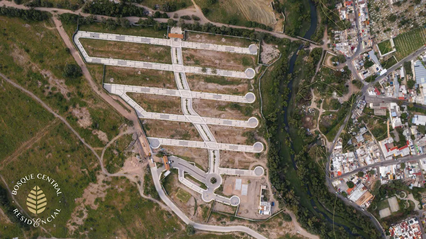 Bosque Central — imagen 13