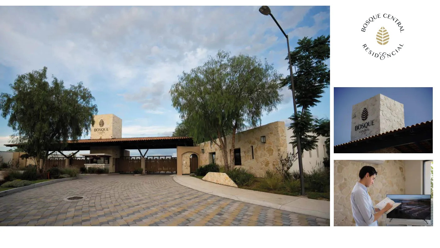 Bosque Central — imagen 14
